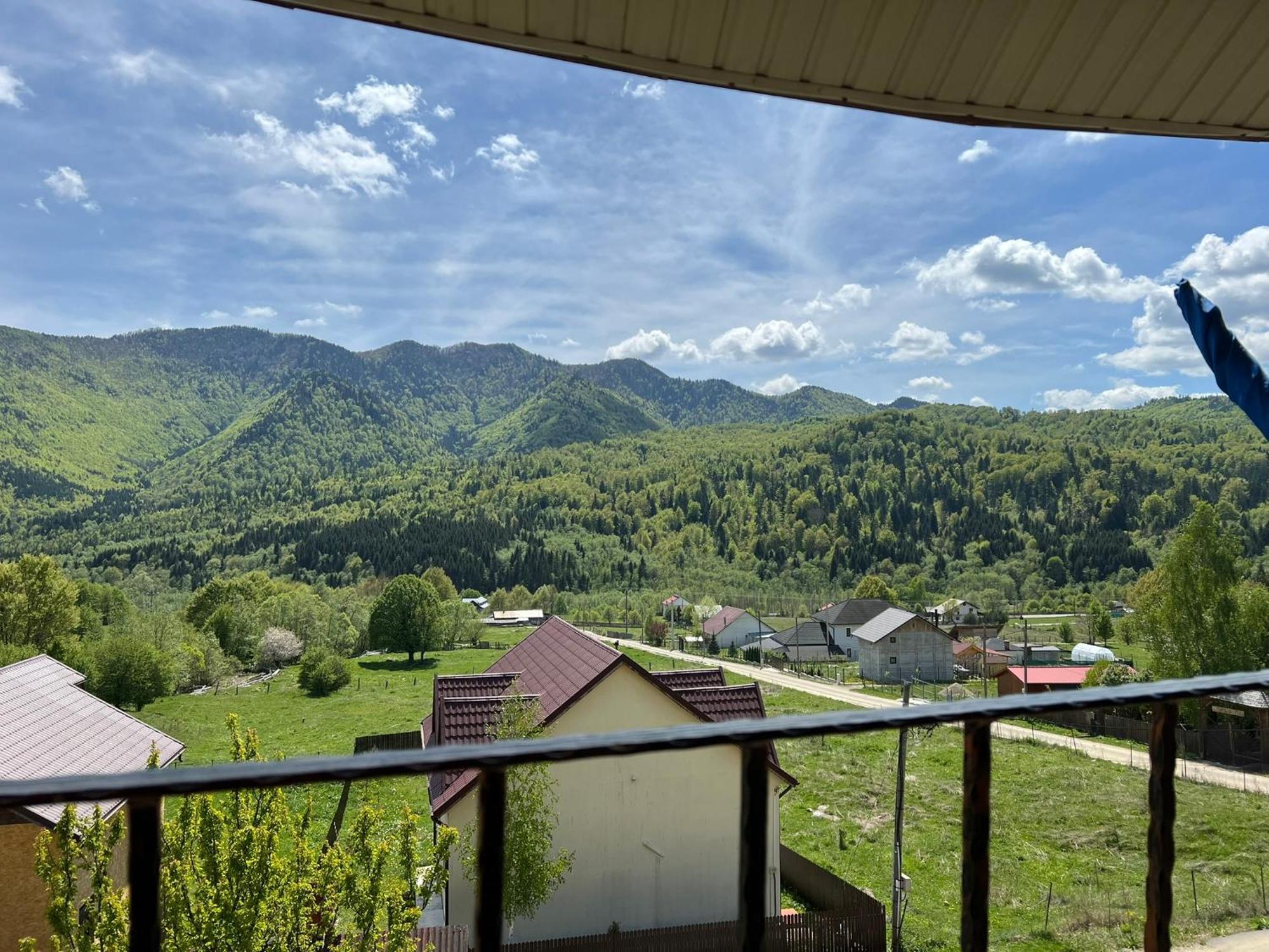Casa Potcoava Hotel Lepşa Buitenkant foto