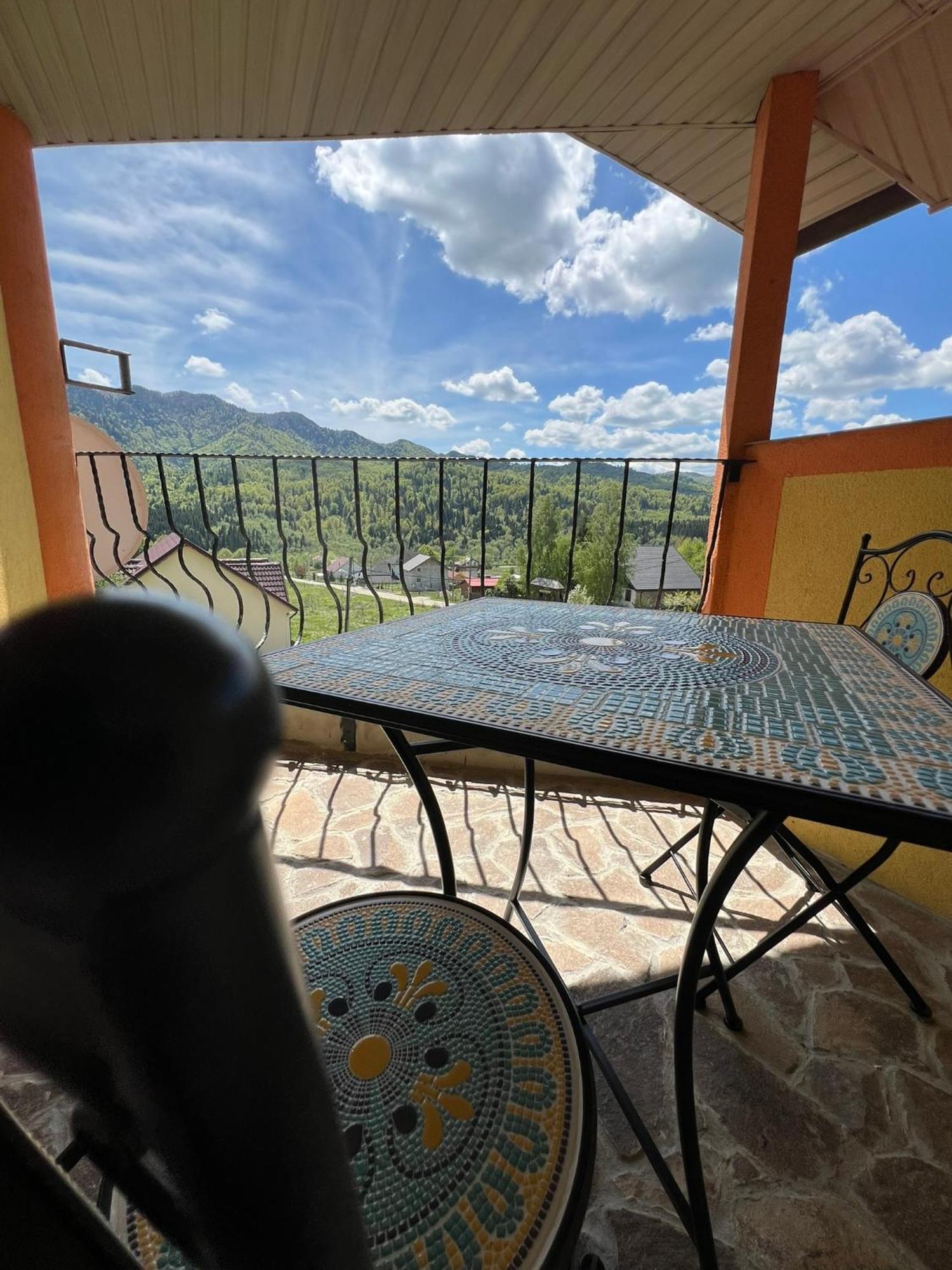 Casa Potcoava Hotel Lepşa Buitenkant foto
