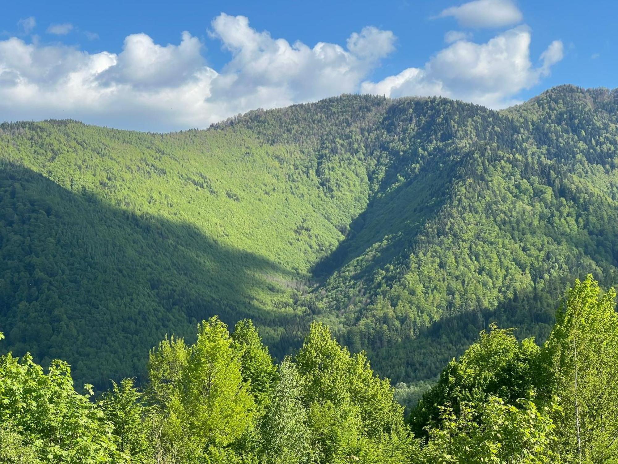Casa Potcoava Hotel Lepşa Buitenkant foto